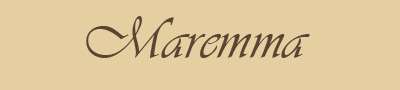 maremma